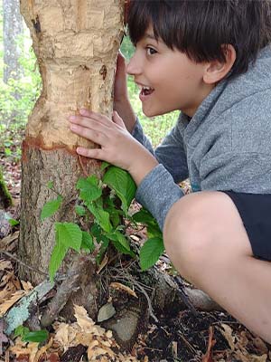 Boy with partially chopped tree